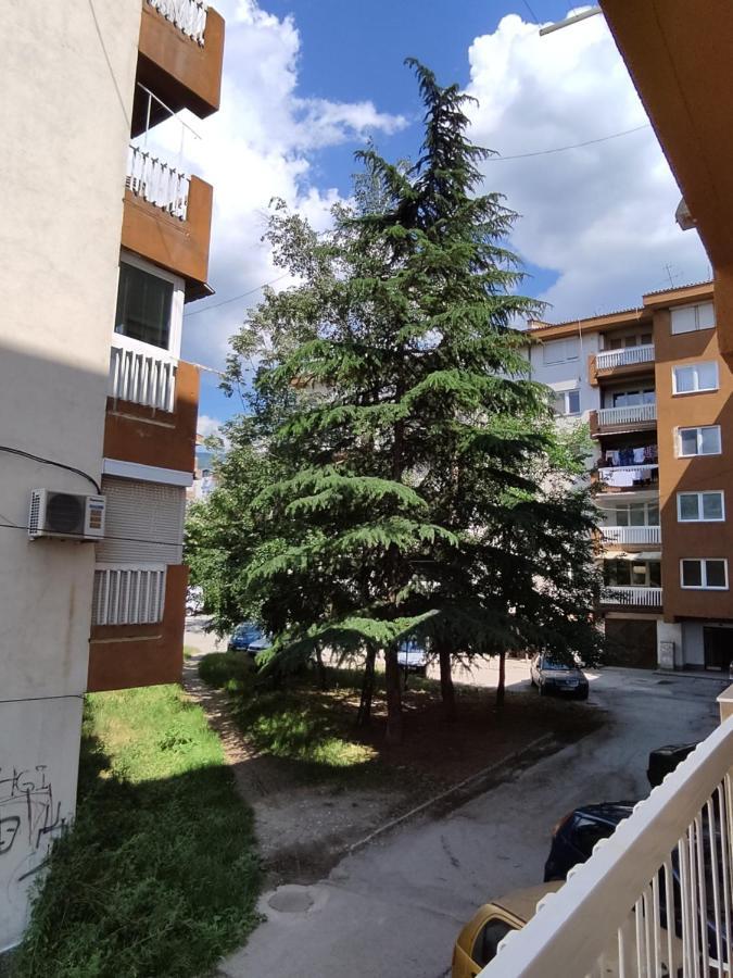 Marko'S Apartment Οχρίδα Εξωτερικό φωτογραφία